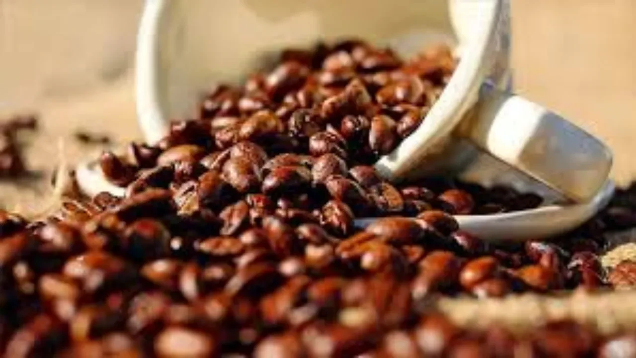 KAHVE VE KAKAO FİYATLARINA DARBE