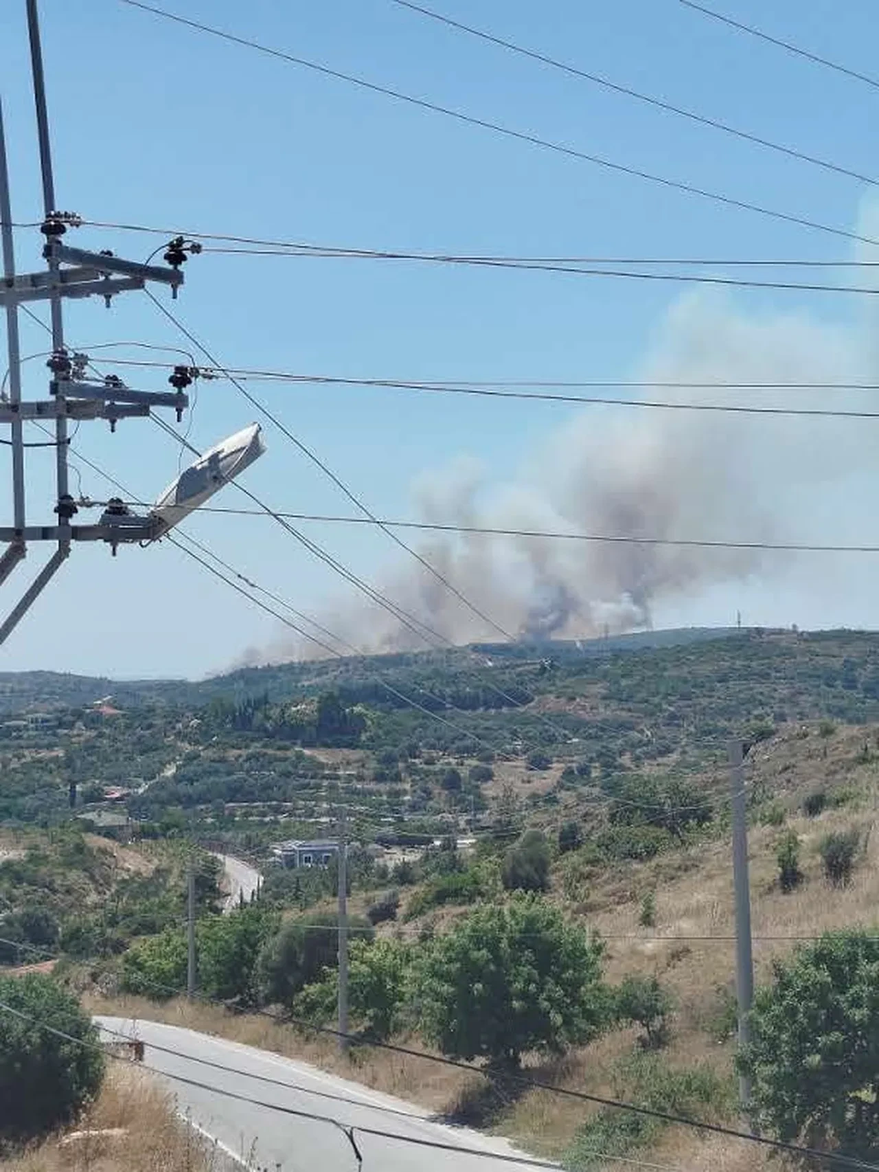 İzmir Çeşme'de yangın! Alevler makilik alana da sıçradı 