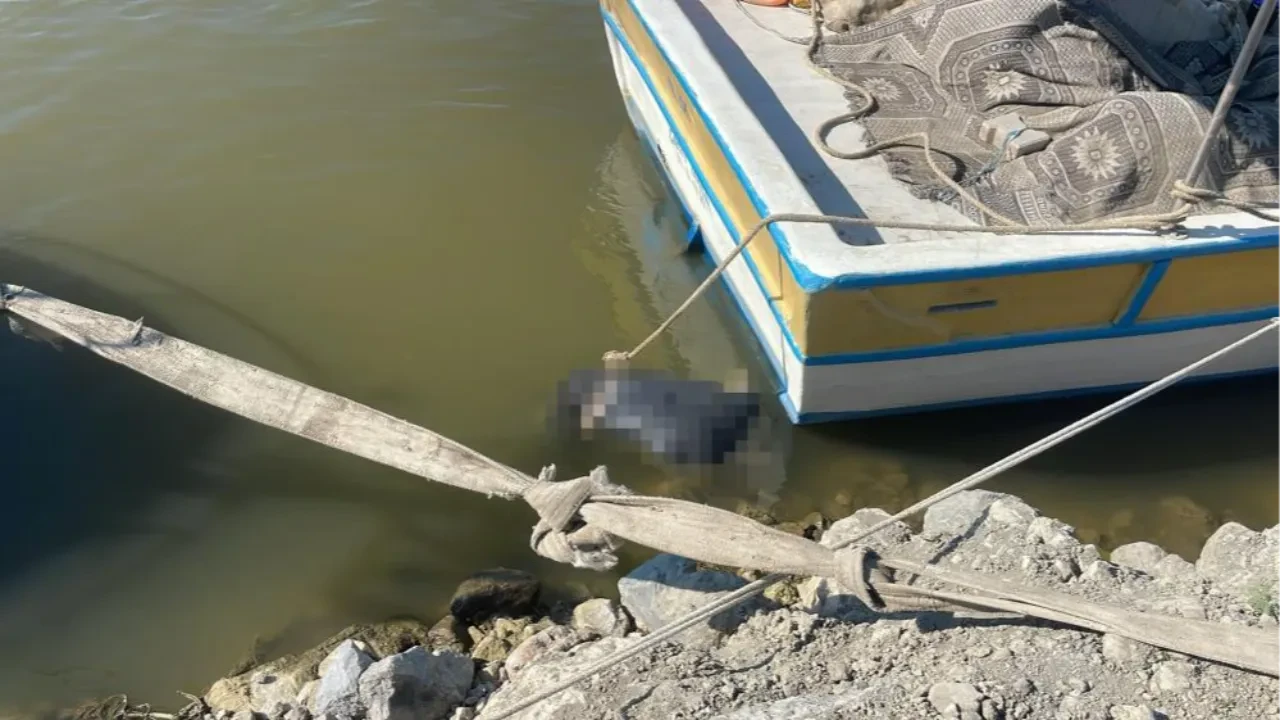 Asi Nehri'nin denize döküldüğü alanda korkunç keşif: Kıyıya erkek cesedi vurdu