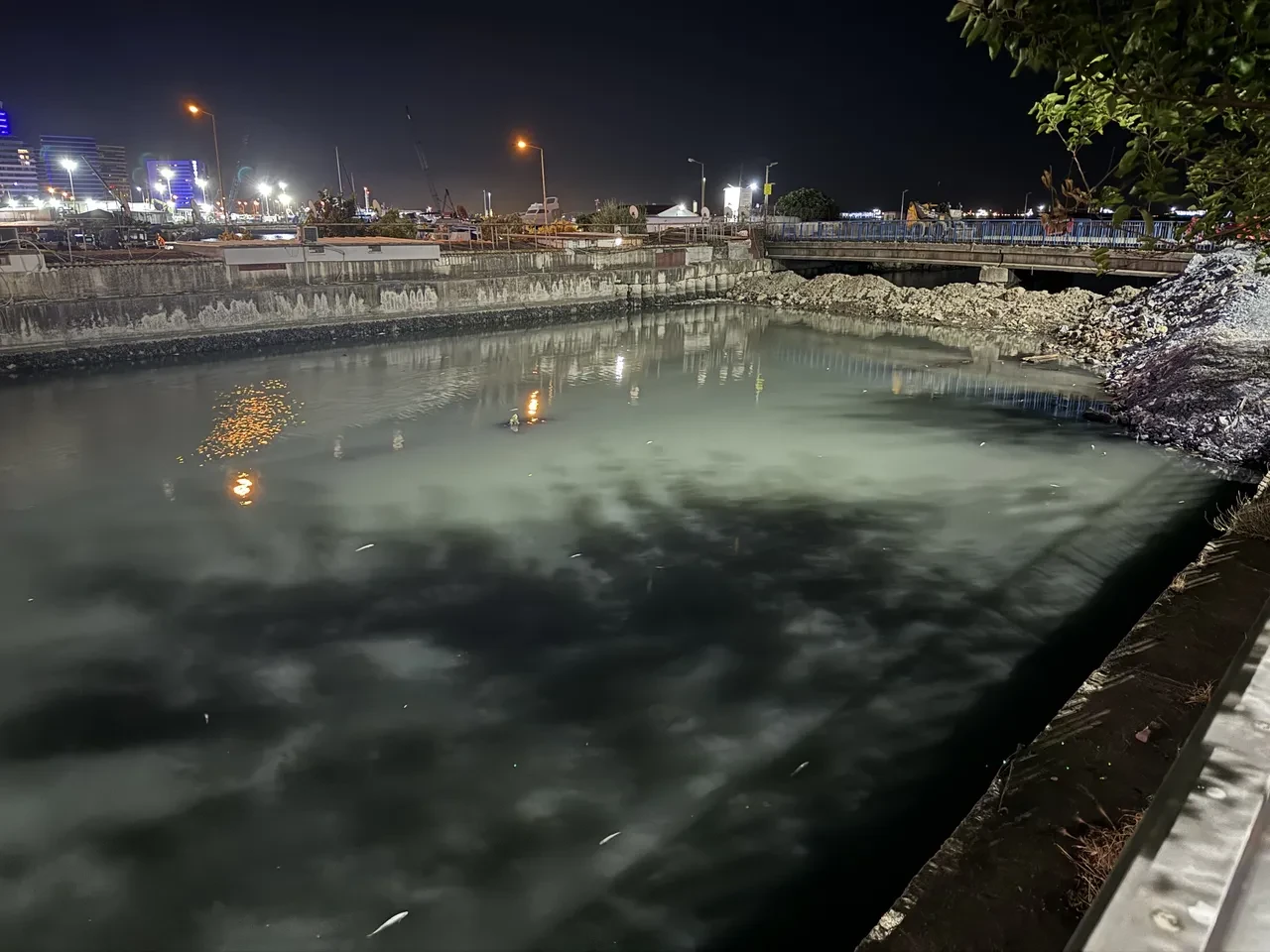 Bakırköy sahilde korkutan manzara! Binlerce ölü balık kıyıya vurdu