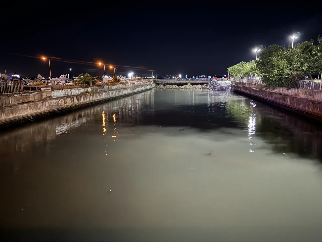 Bakırköy sahilde korkutan manzara! Binlerce ölü balık kıyıya vurdu