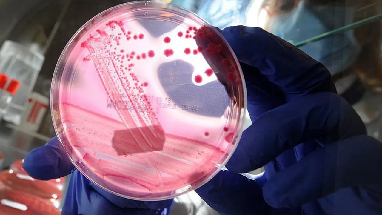 Bilim insanları heyecanlı Pankreas kanseri tedavisinde umut verici gelişmeler 