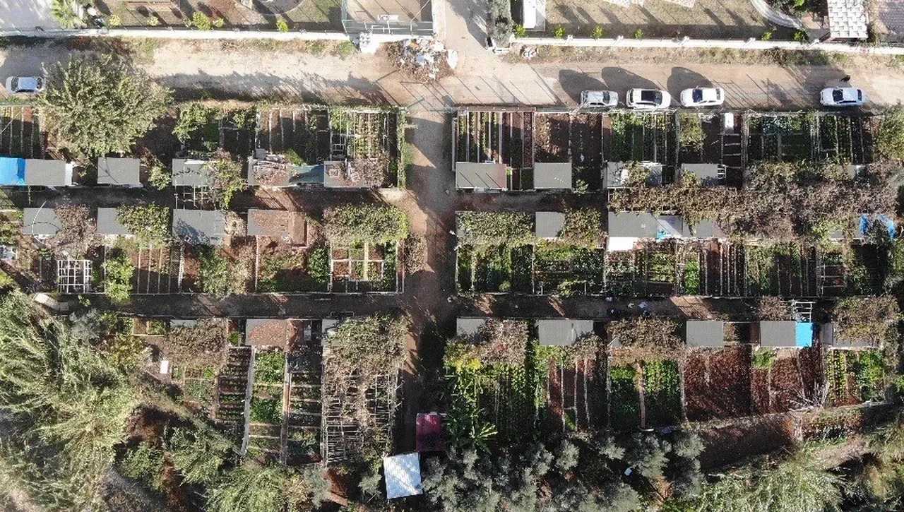 Hobi bahçesi yasağı fırsatçılara yaradı! Villa fiyatına satılık 'kümes'