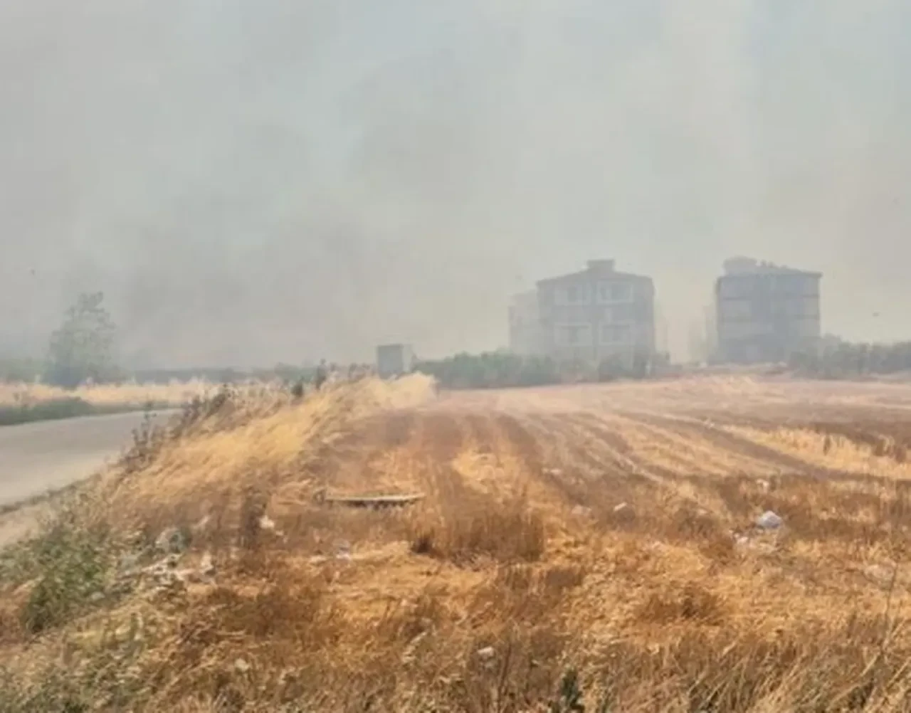 İstanbul Silivri'de korkutan yangın! Alevler rüzgarın etkisiyle büyüdü