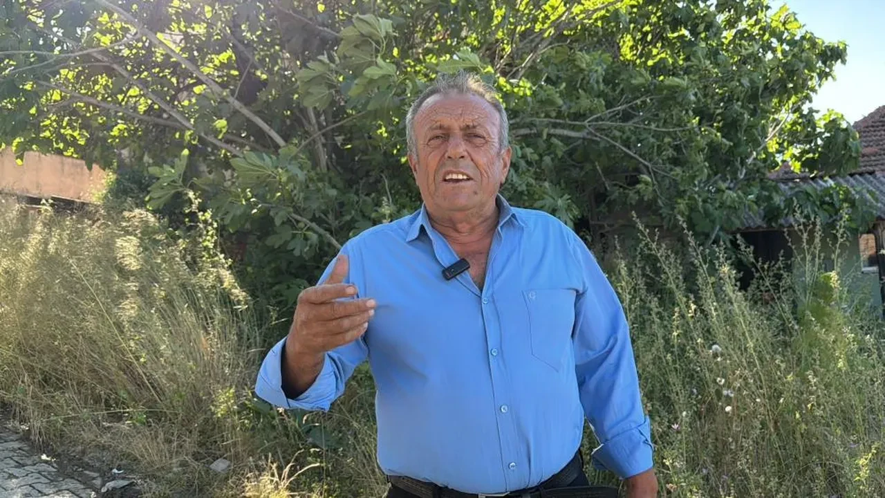 Kırmızı altın hasadı başladı! Herkes uzakta arıyor ama İstanbul'un dibinde