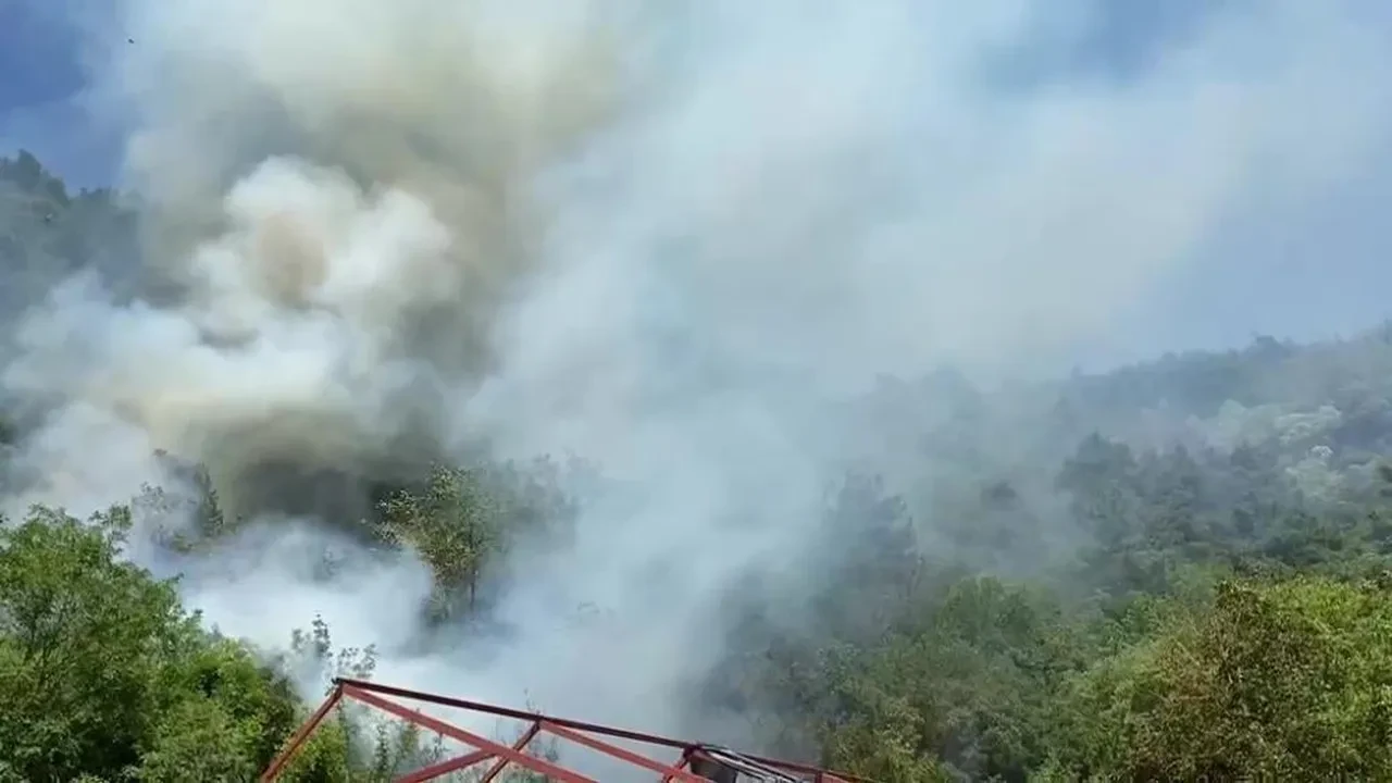 Bursa, Çanakkale ve İzmir'de yangın! Tüm illerdeki alevler kontrol altında