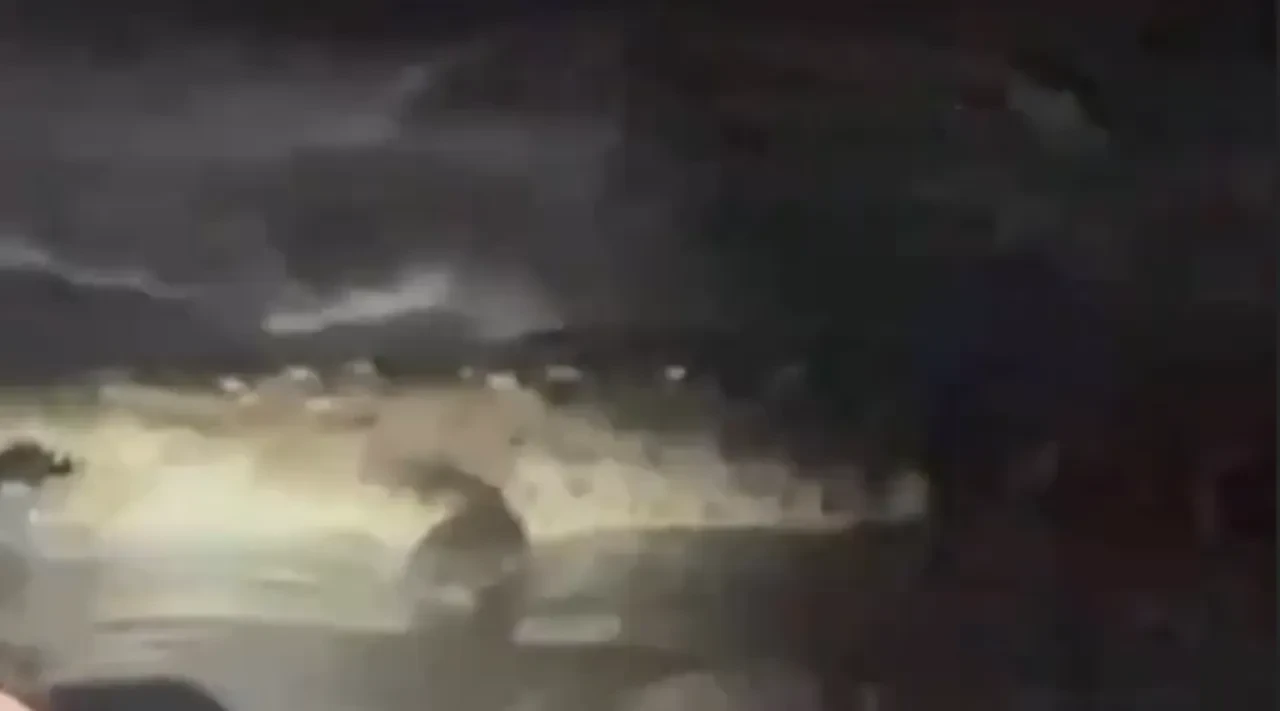Çığlıkları duyup koştular ama yetişemediler! Timsah genç adamı gözleri önünde denize çekti