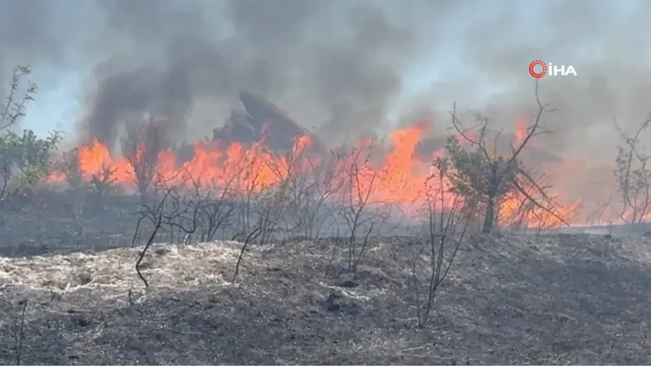 Edirne’de vatandaşlar traktör ve ağaç dallarıyla yangına koştu!