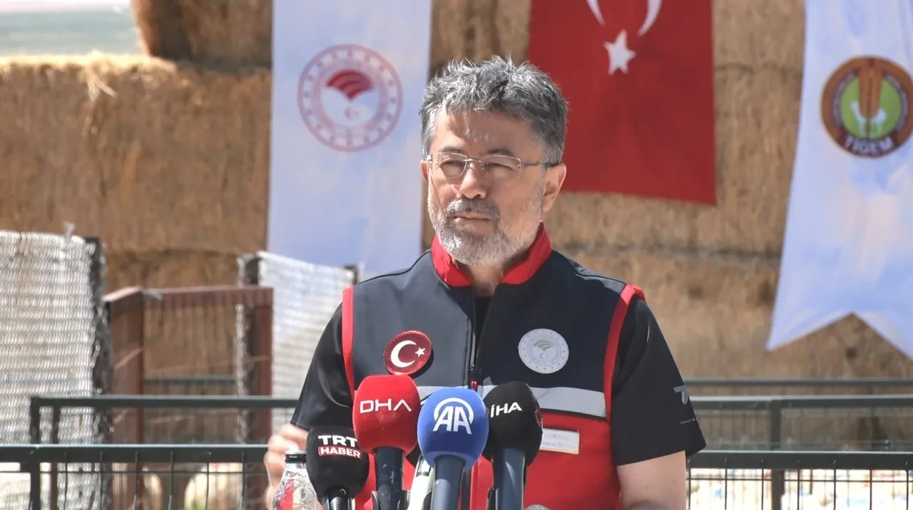 Küçükbaş hayvancılıkta dev destek: 1600 üreticiye 160 bin hayvan
