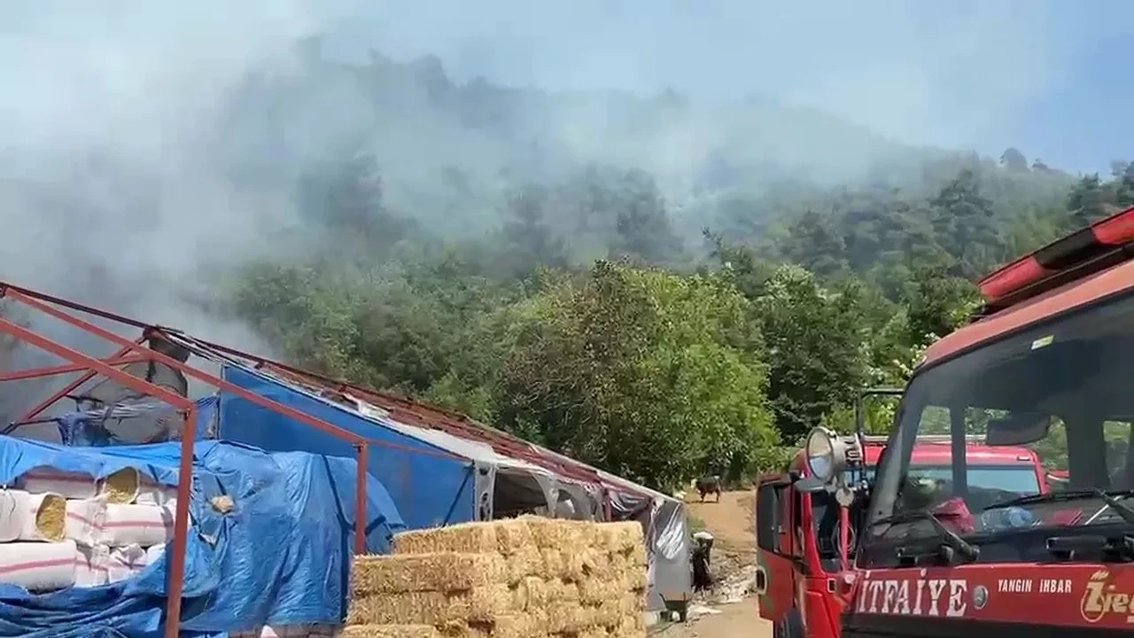 Üç ilde yangın alarmı! İtfaiye ekiplerinin çalışmaları aralıksız sürüyor