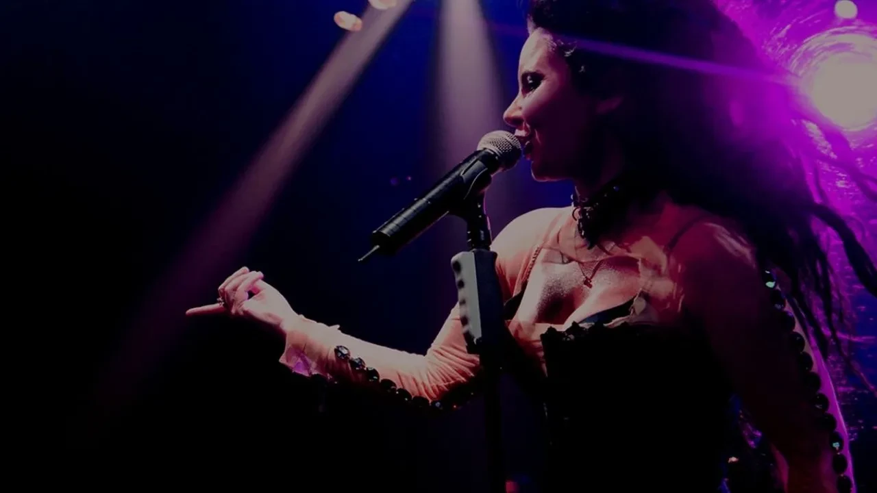 Şebnem Ferah konserine ünlüler akın etti! Ünlü rockçı seneler sonra sahnede hayranlarını coşturdu