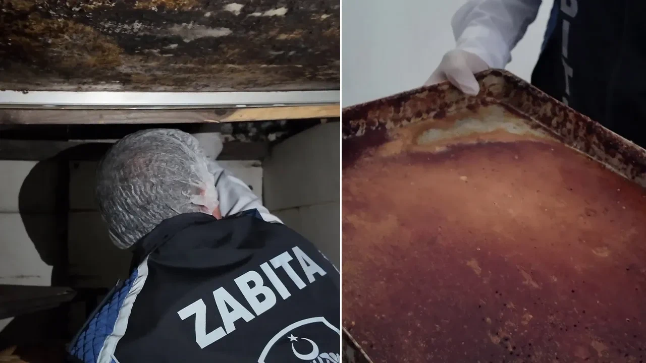 Fırında mide bulandıran görüntüler! Her yerde böcekler cirit atıyor