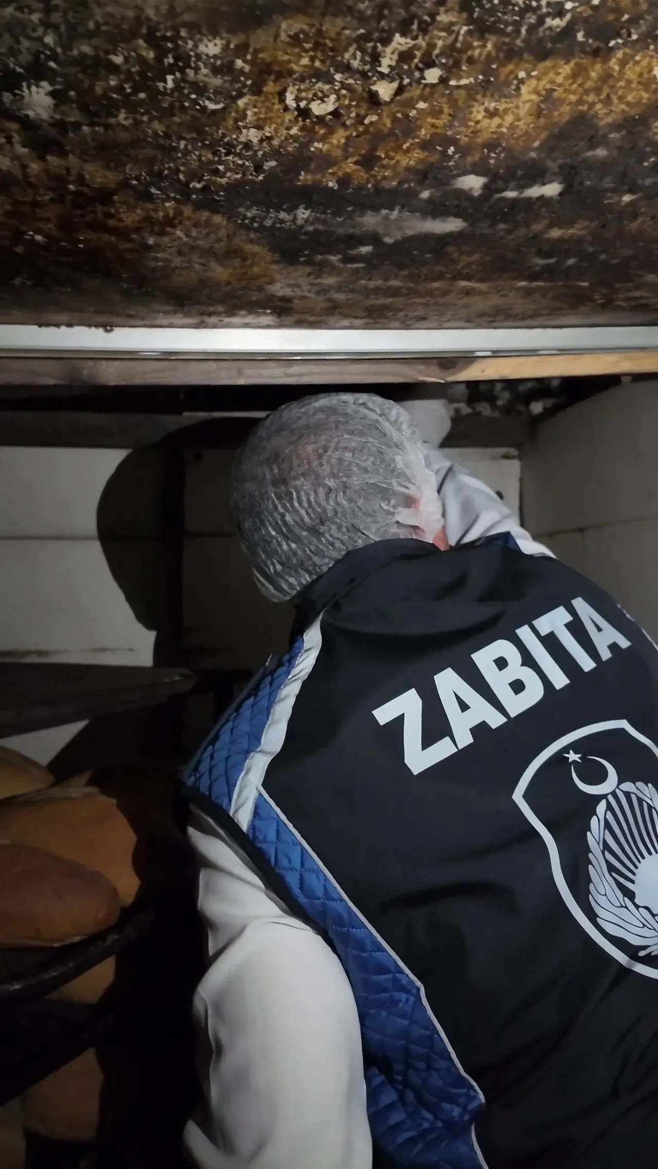 Fırında mide bulandıran görüntüler! Her yerde böcekler cirit atıyor