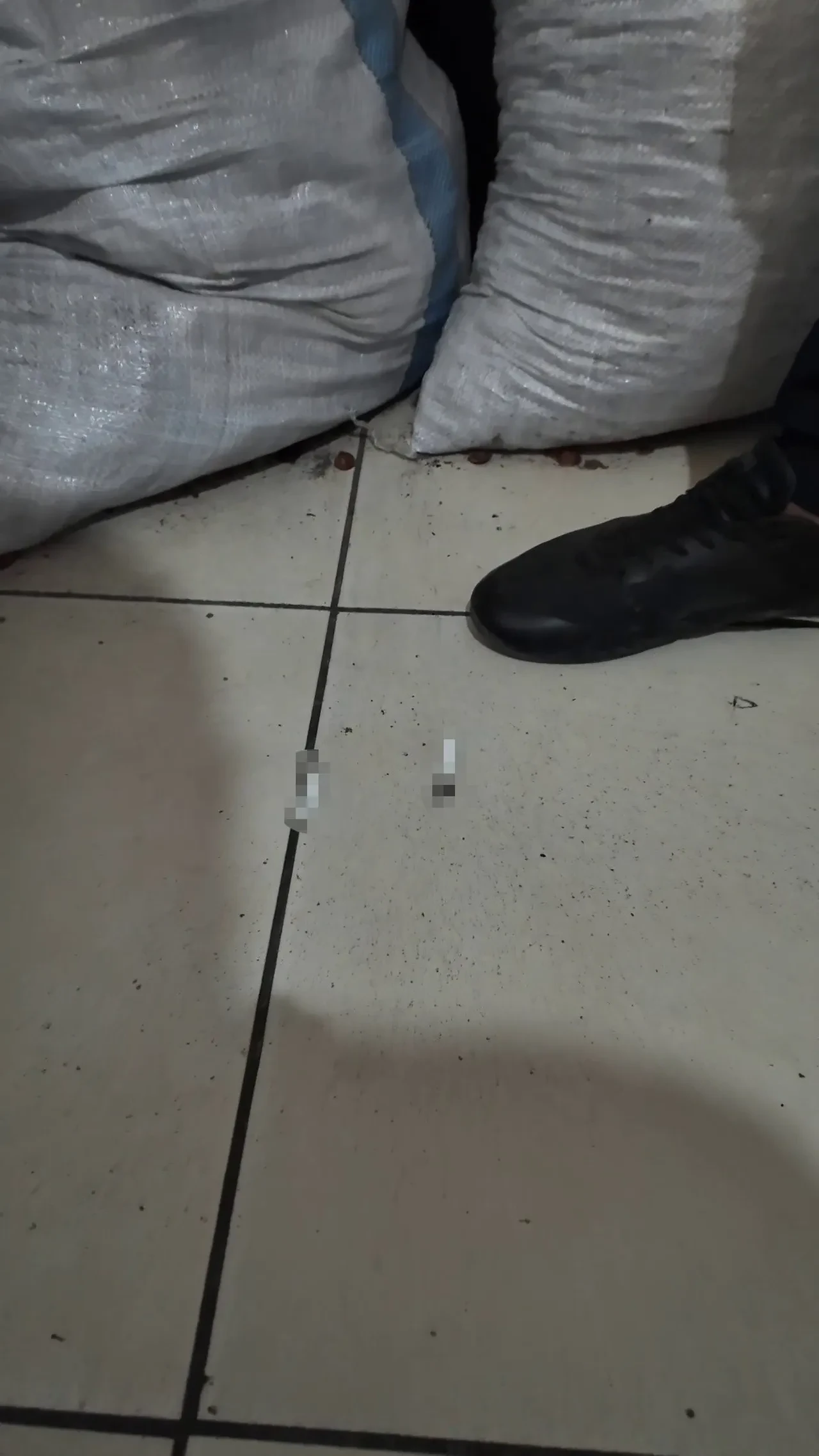 Fırında mide bulandıran görüntüler! Her yerde böcekler cirit atıyor