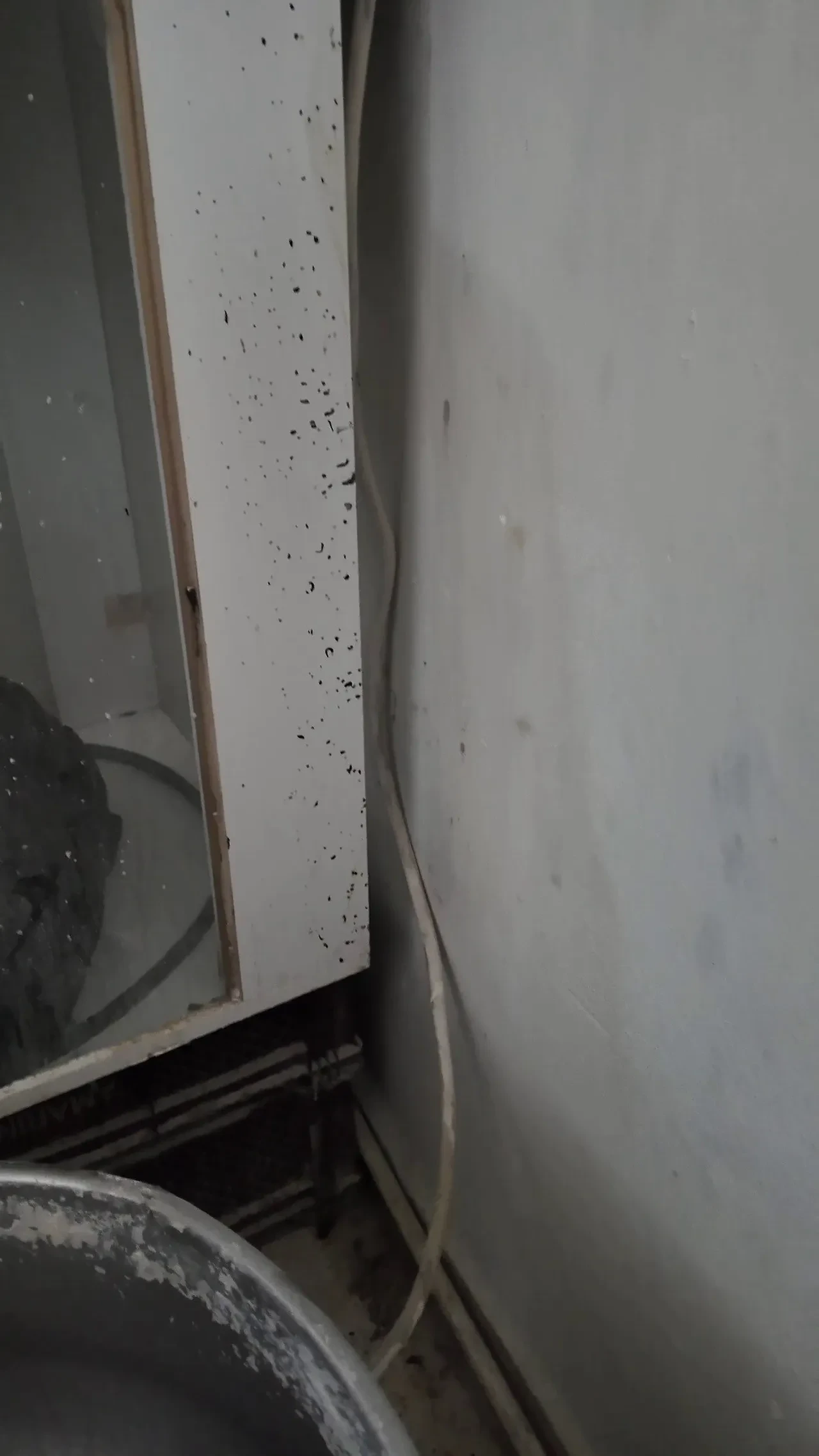Fırında mide bulandıran görüntüler! Her yerde böcekler cirit atıyor