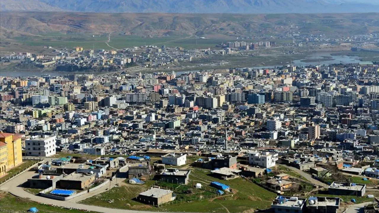 CİZRE (ŞIRNAK)