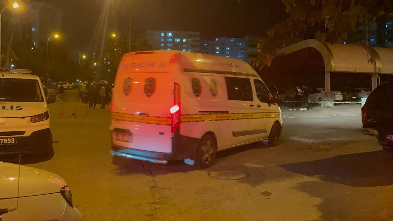 Şanlıurfa'da kavgayı ayırmak isteyen anneden acı haber