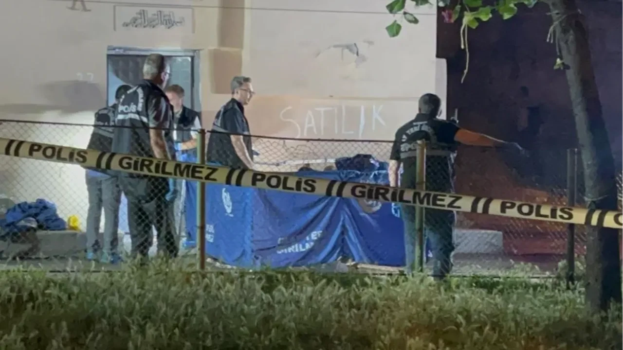 Fotoğraf
