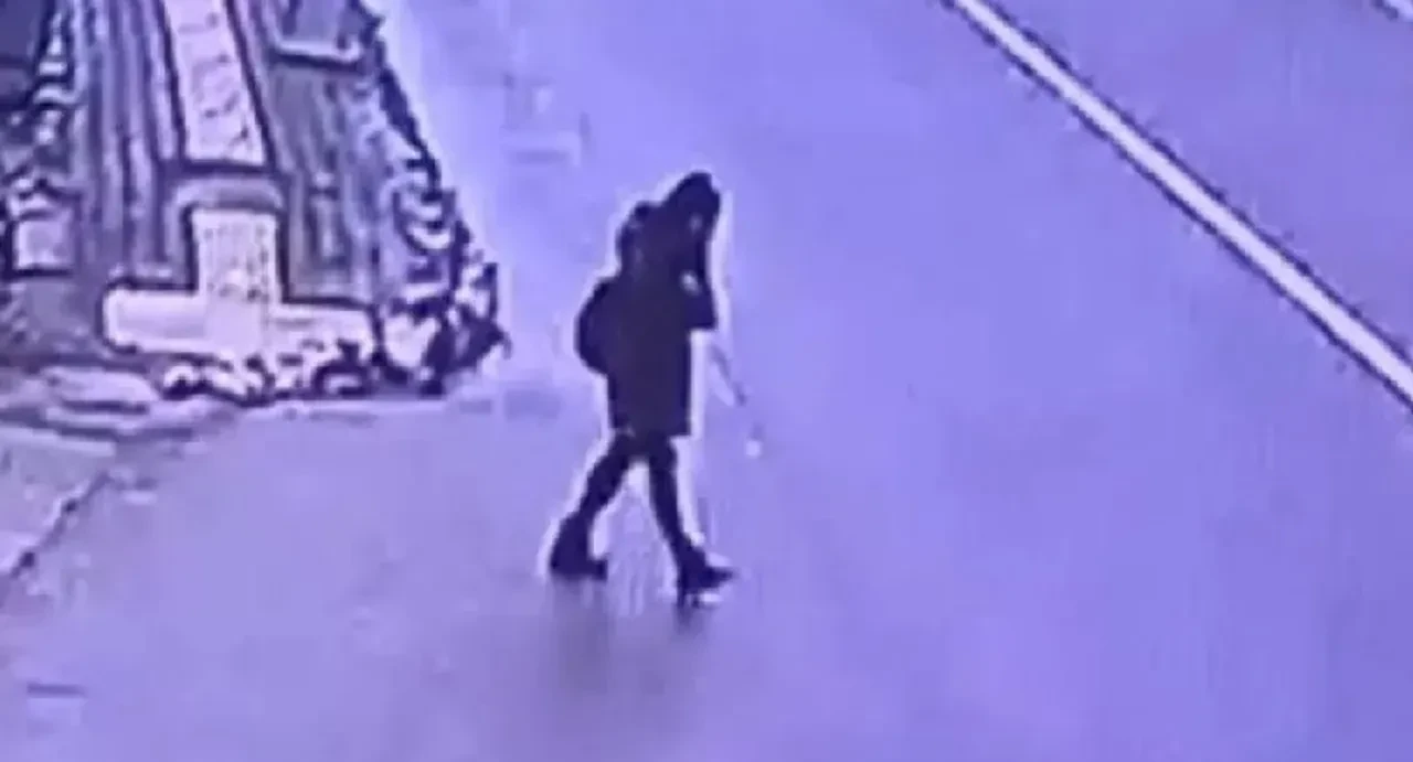 Gülistan Doku'nun eski sevgilisi Zeinal Abarakov'un ifadesine ulaşıldı! En son "korkuyorum" mesajı attı: "Çekiştirince bağırmaya başladı"
