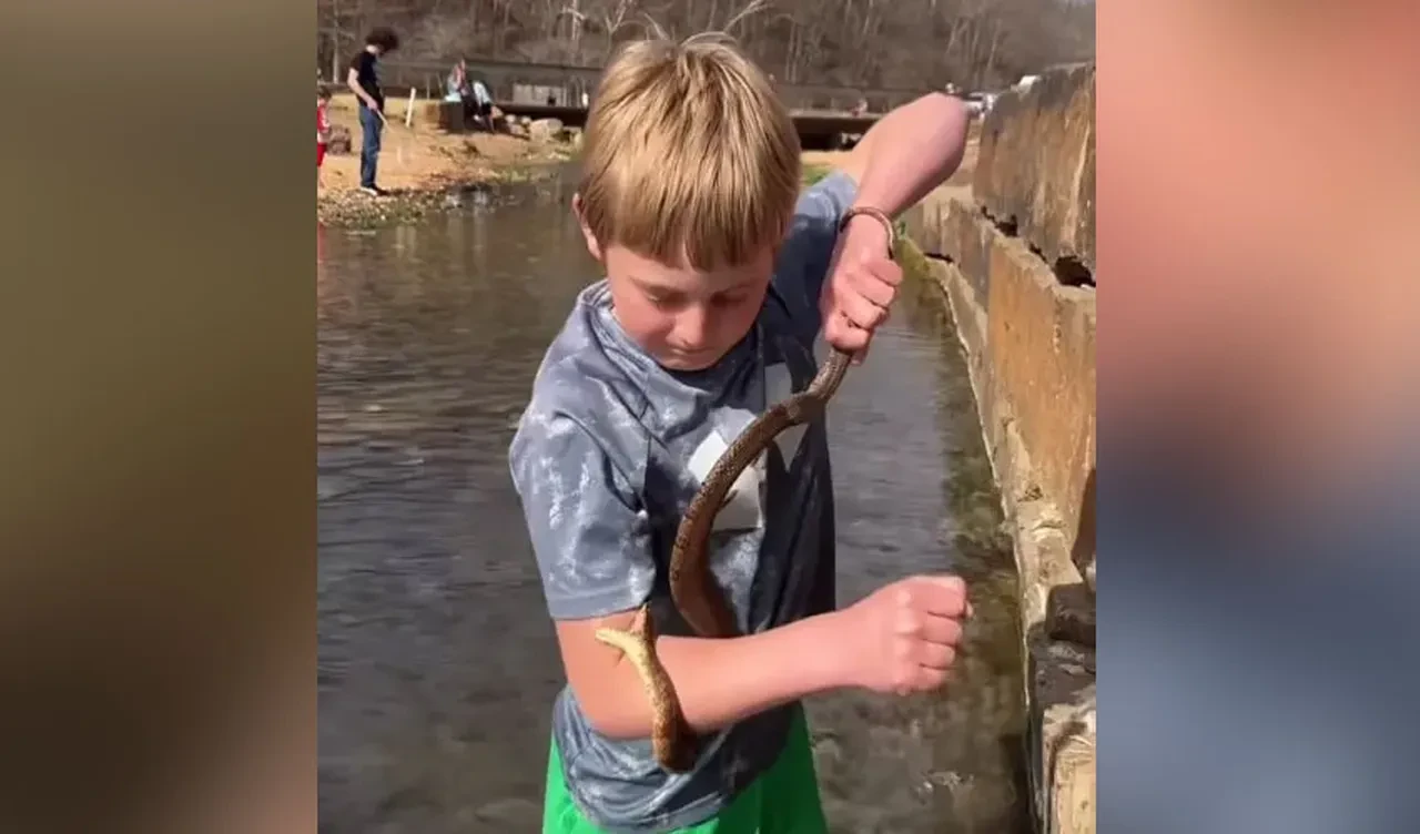 Ozark Dağları'nın "Tarzan"ı: 12 yaşındaki çocuk takipçi için kendini yılanlara ve arılara ısırtıyor