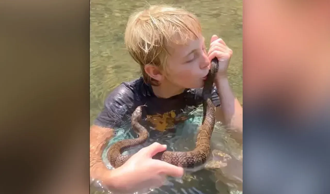 Ozark Dağları'nın "Tarzan"ı: 12 yaşındaki çocuk takipçi için kendini yılanlara ve arılara ısırtıyor