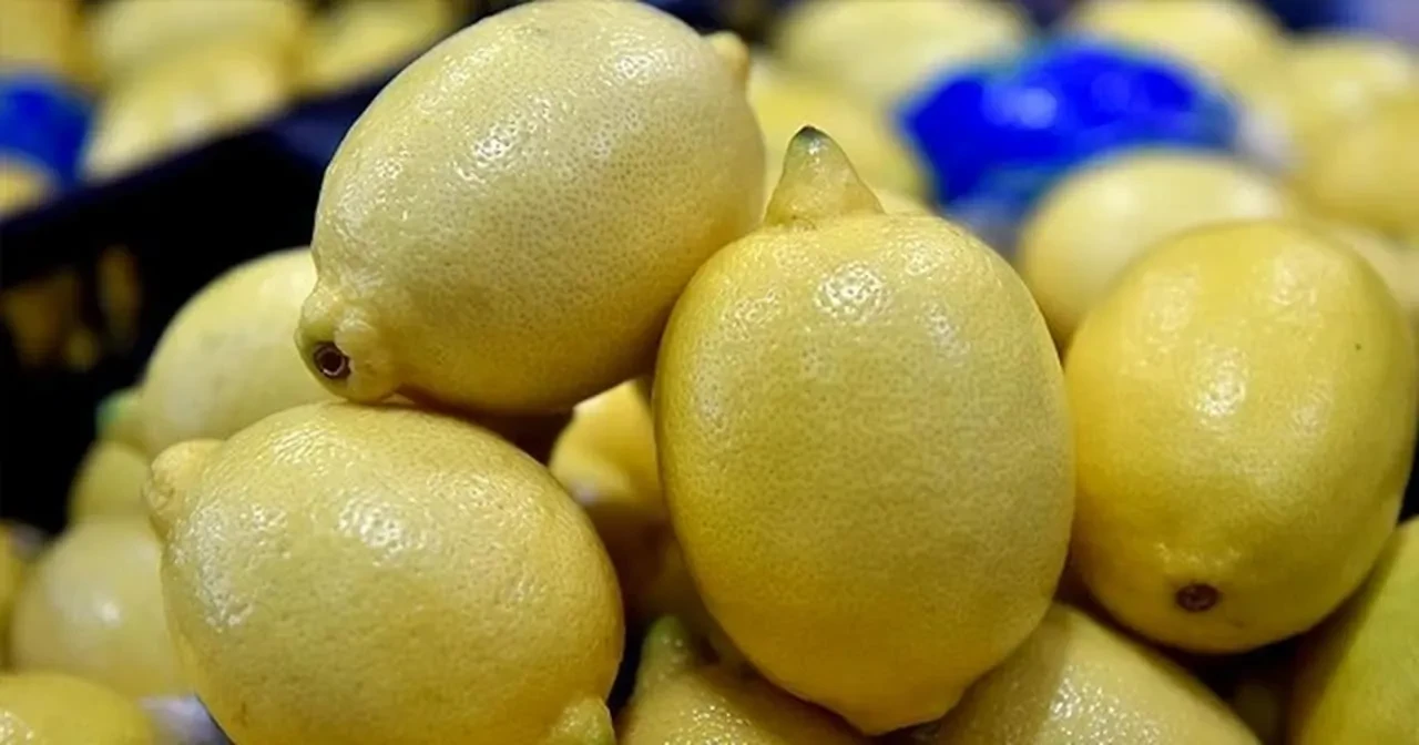Türkiye'nin limon ihracatı ilk 4 ayda 195 milyon dolara ulaştı
