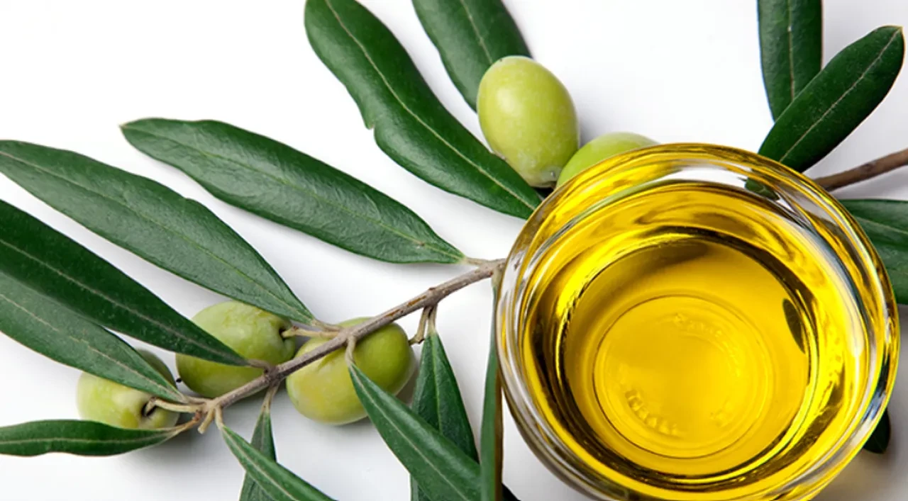 zeytin yaprağı kürü nasıl yapılır