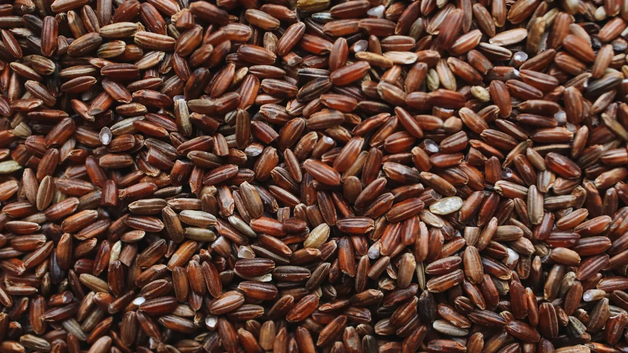 Yapış yapış olmayan tane tane dökülen esmer pirinç pilavı pişirmenin püf noktaları