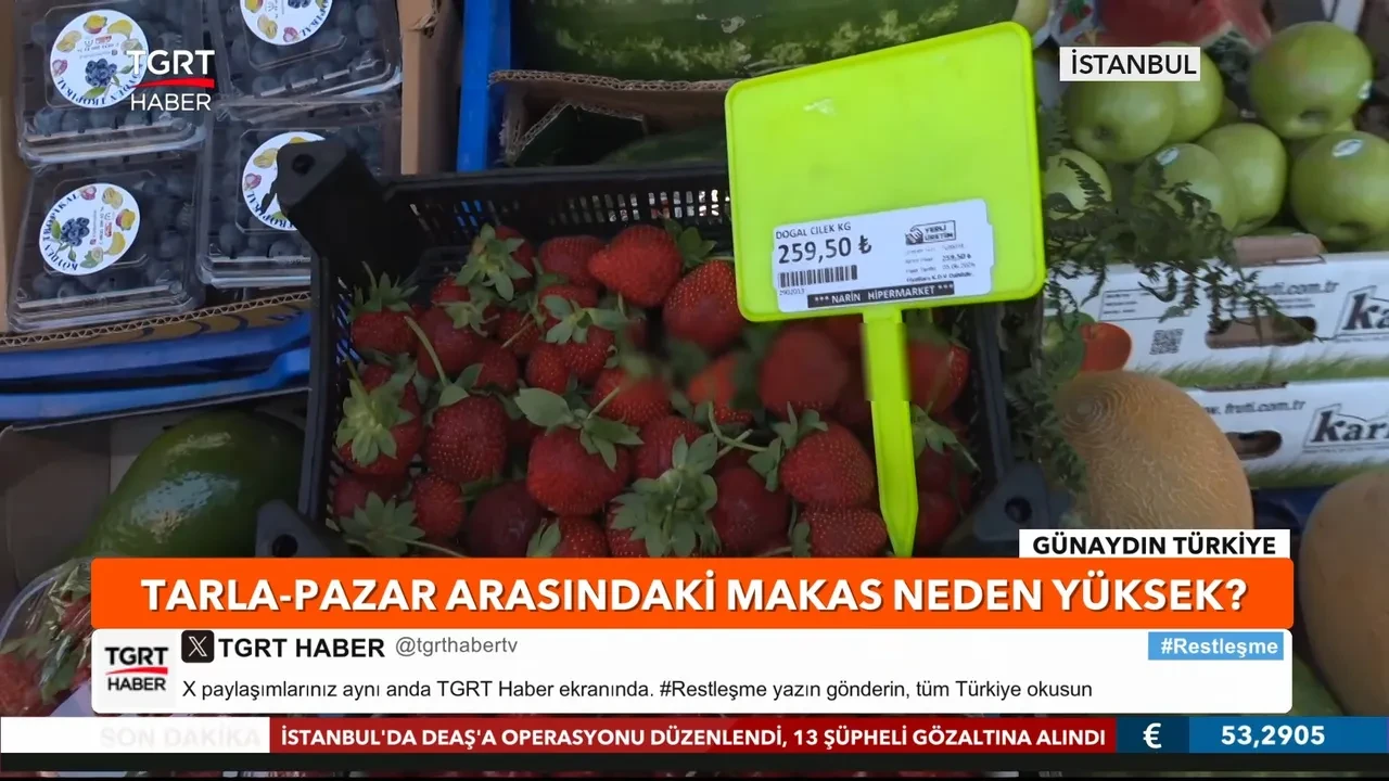 Çilekteki makas dudak uçuklattı! 30 TL'den 260 TL'ye fırladı 