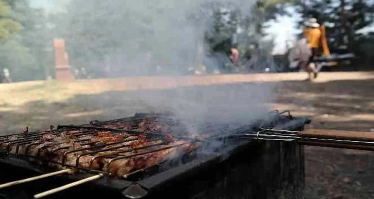 Mangal sezonu açıldı, fırsatçılar fahiş zam yaptı: Tavuk kanat fiyatları ikiye katlandı