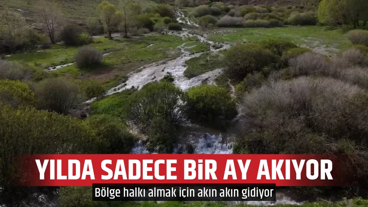 YILDA SADECE BİR AY AKIYOR