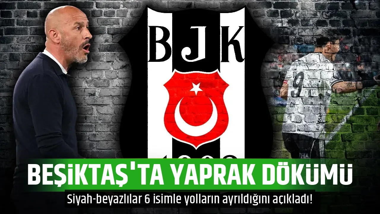 BEŞİKTAŞ'TA YAPRAK DÖKÜMÜ