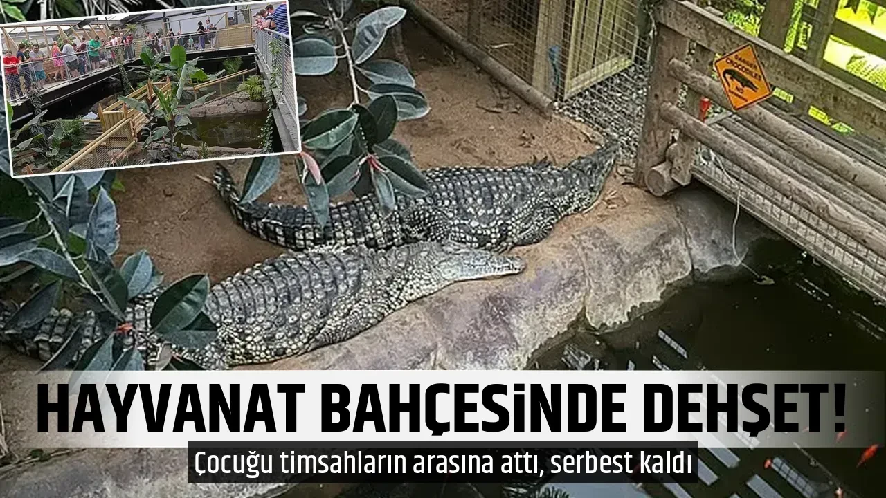 HAYVANAT BAHÇESİNDE DEHŞET!
