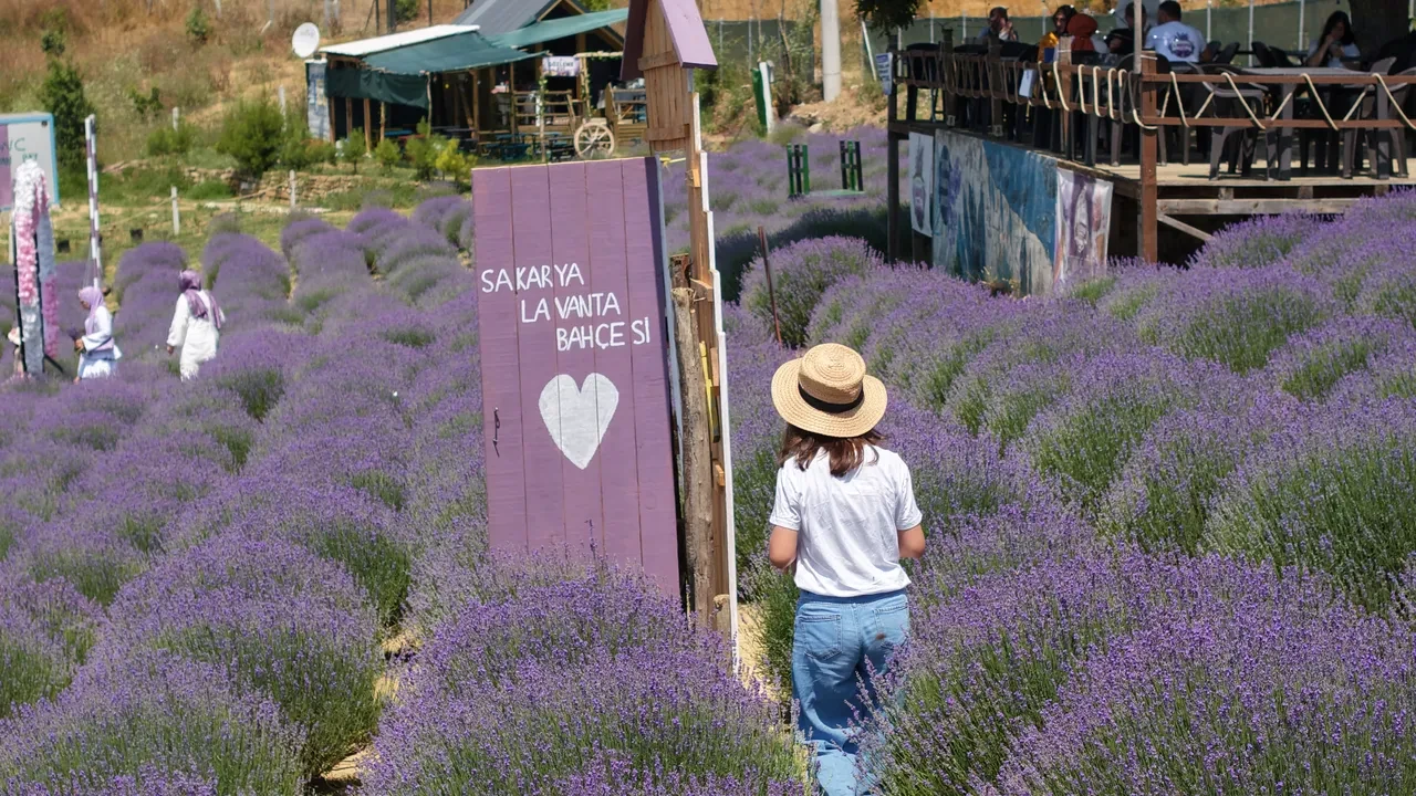 Sakarya’da festival heyecanı! Türkiye Kültür Yolu Festivali ile şehrin zenginlikleri milyonlara ulaşacak