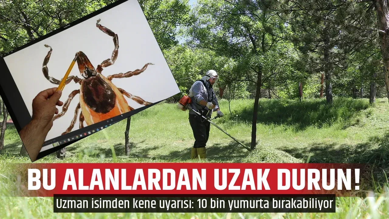 BU ALANLARDAN UZAK DURUN!