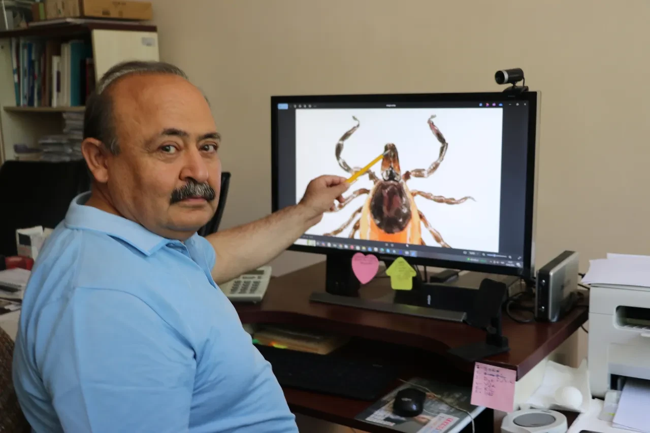 Uzman isimden kene uyarısı: Bu alanlardan uzak durun, 10 bin yumurta bırakabiliyor