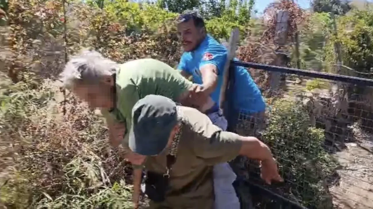 Bodrum'da kendini yakmak isteyen yaşlı kadın 10 hektarlık ormanı kül etti!