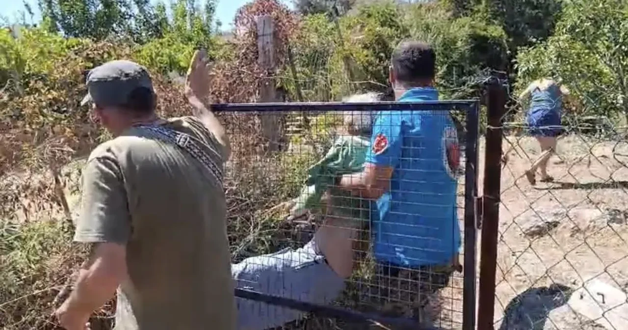 Bodrum'da kendini yakmak isteyen yaşlı kadın 10 hektarlık ormanı kül etti!