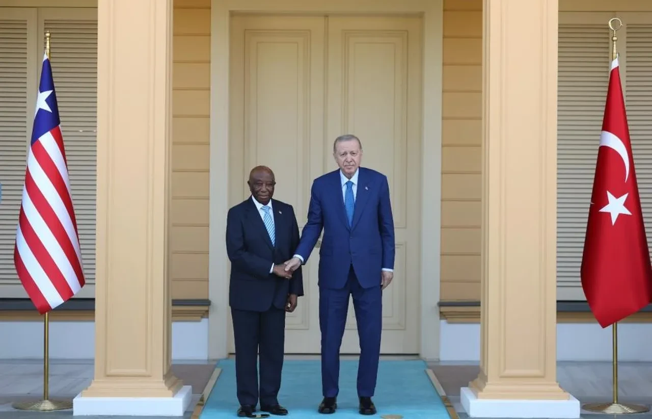 Cumhurbaşkanı Erdoğan, Liberya Cumhurbaşkanı Boakai ile Vahdettin Köşkü'nde görüştü
