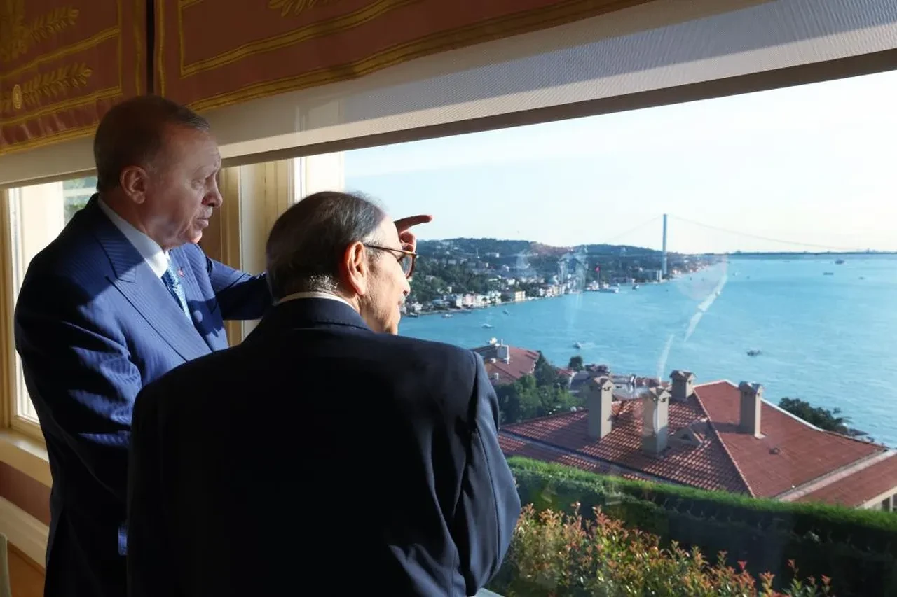 Cumhurbaşkanı Erdoğan Lübnan Başbakanı Selam'ı kabul etti