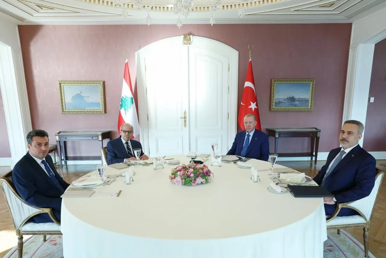 Cumhurbaşkanı Erdoğan Lübnan Başbakanı Selam'ı kabul etti