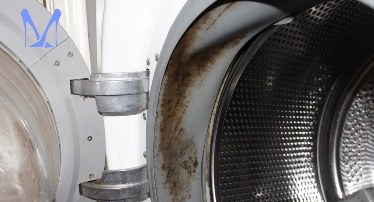 Çamaşır makinesindeki gizli kir yuvasını buldum! Çoğu kişi bilmiyor