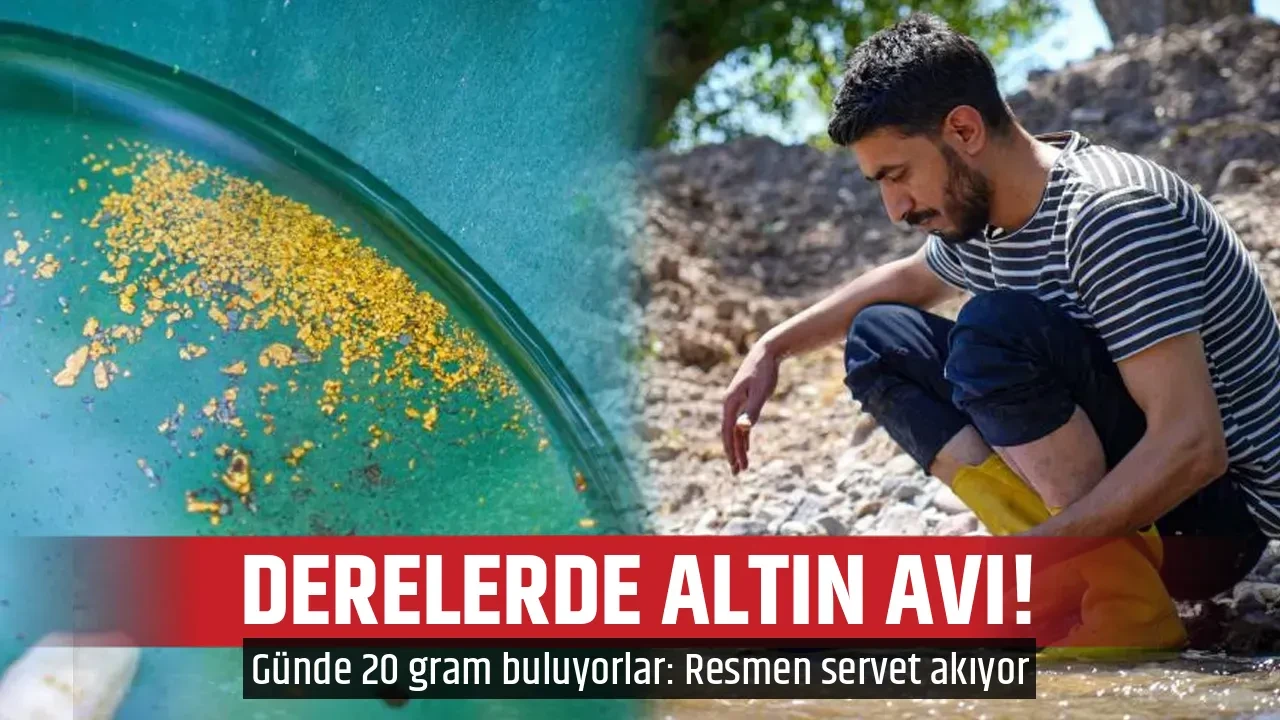 DERELERDE ALTIN AVI!