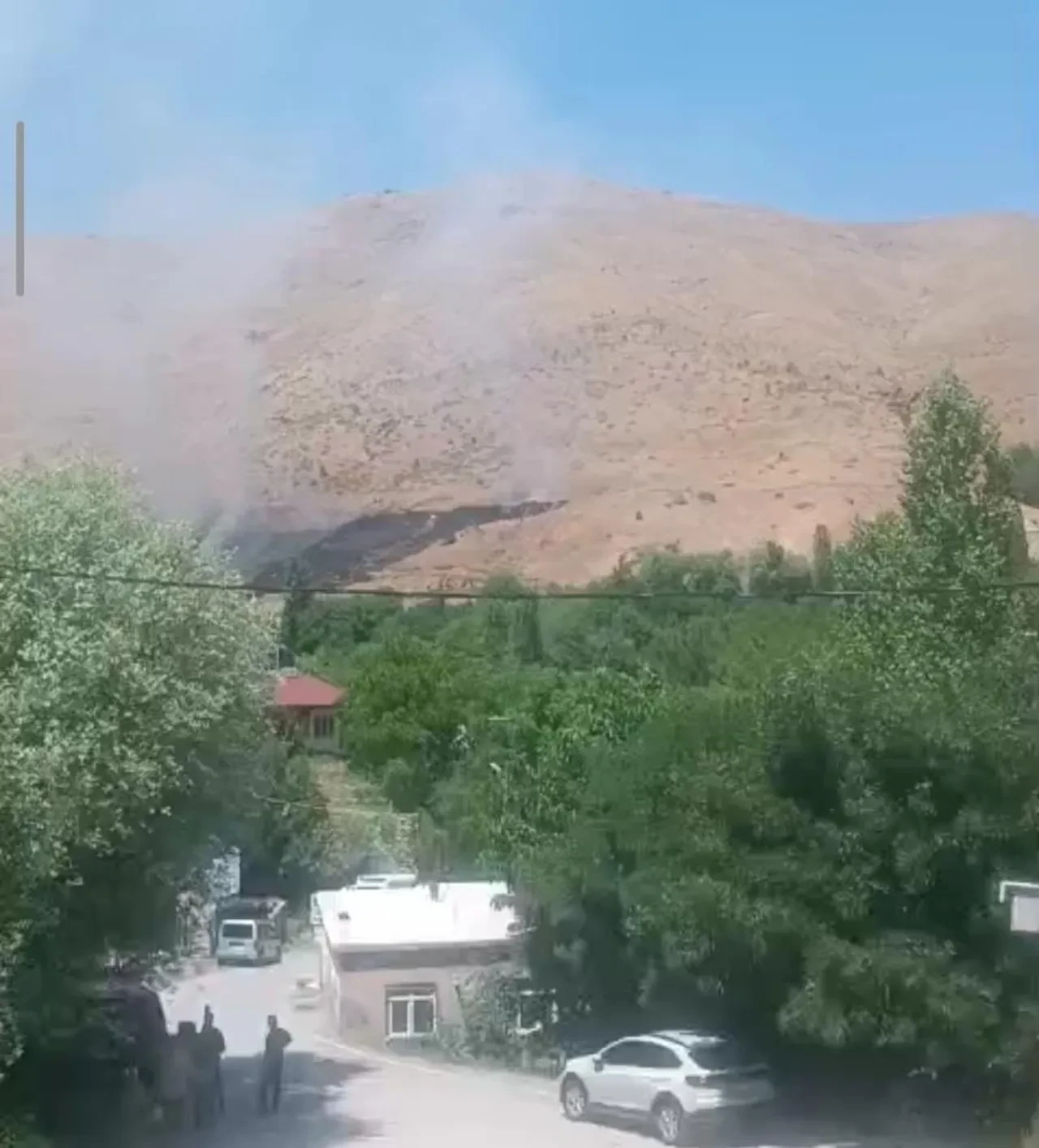 Bitlis'te orman yangını: Binlerce arı telef oldu, ekipler alevlerle savaşıyor