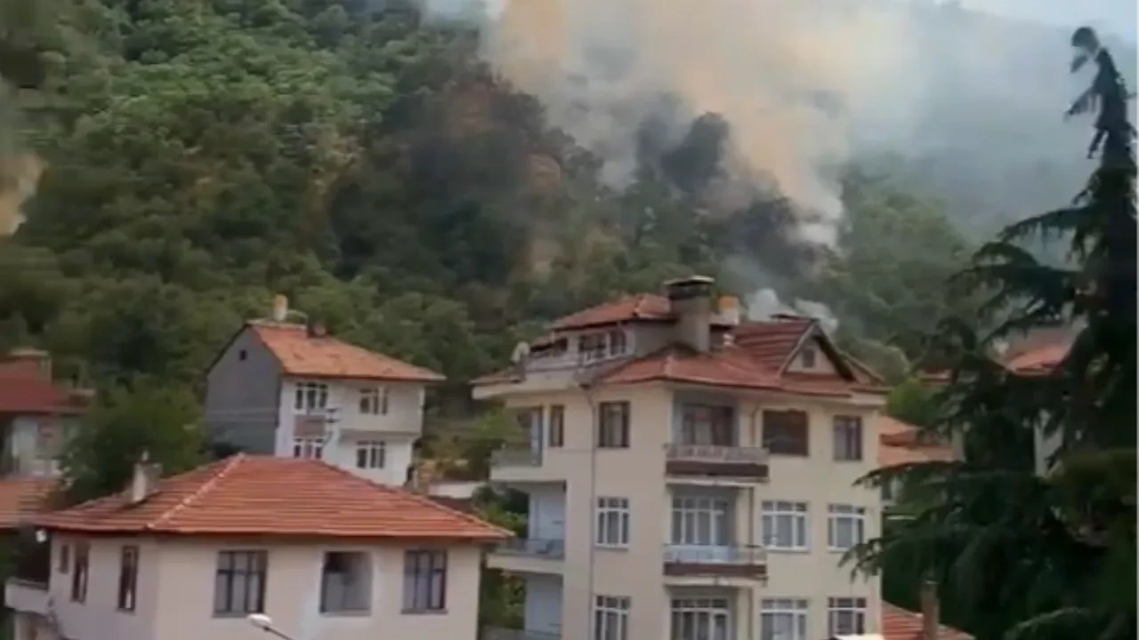 Kastamonu'da alevlerle mücadele: 40 dönüm zarar gördü