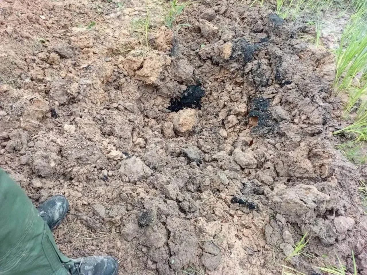 Köpek kemik yerine eve el bombası getirdi! Facianın eşiğinden dönüldü