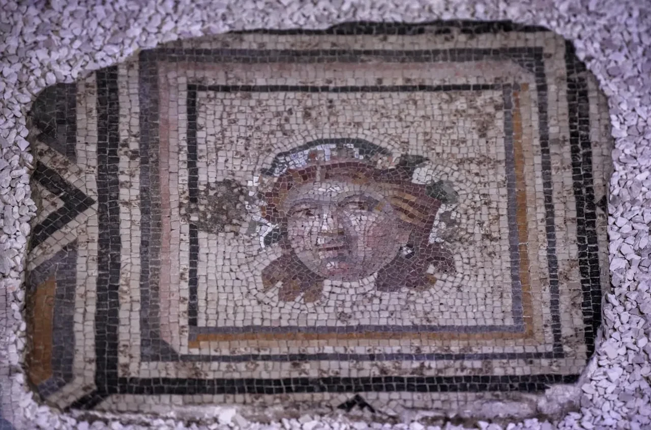 ABD’den yuvasına döndü! Zeugma mozaik paneli ait olduğu yere yerleştirildi