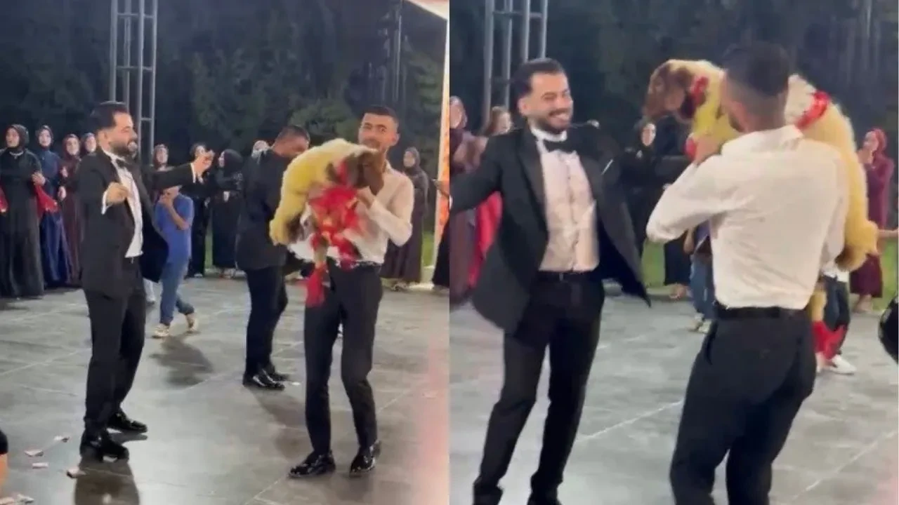 Takı merasimine kuzuyla geldi! Düğünde ilginç anlar kamerada