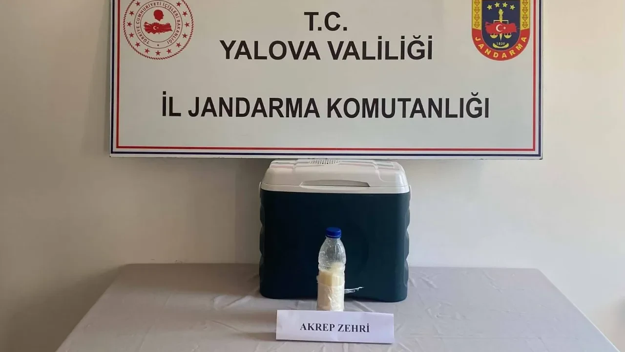 Yalova’da akrep zehri operasyonu! Yurt dışından getirildi, beş yüz gramı 5 milyon dolar