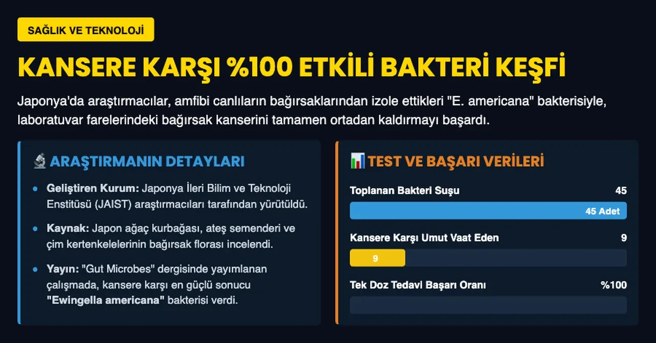 Kanser tedavisinde yeni dönem: Kurbağa bağırsağındaki bakteri tümörleri yok etti